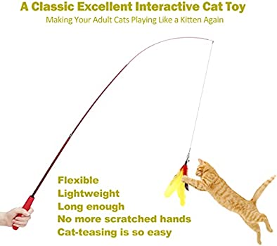 MeoHui Cat Toys, 2PCS Retractable Cat Wand Toy and 9PCS Cat Feather Toys Cat Teaser Toy Refills, Interactive Cat Toy Wand Kitten Toys for Indoor Cats to Play Chase Exercise Amazon's Choice