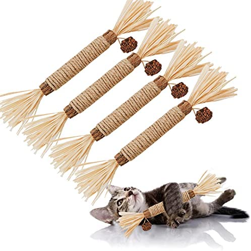 Search Cat Toys